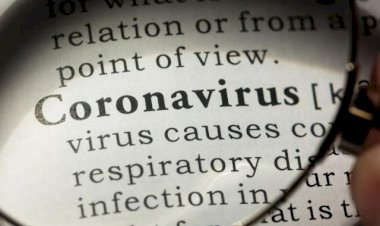 Ковидов џепни речник: Суспектни термини нове стварности