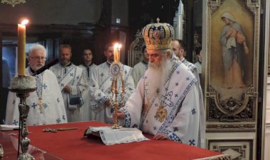 Епископ Иринеј: Господ нас спасава тако што Он врши Домострој спасења, Он је тај Који је Спаситељ, али не без нас, а поготову не против нас!