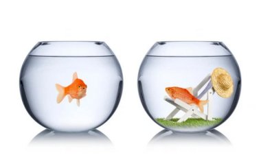 Завист, мржња и љубомора