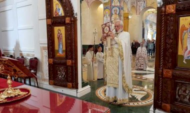 Прота др Милош Весин: У спомен на академика Димитрија Стефановића