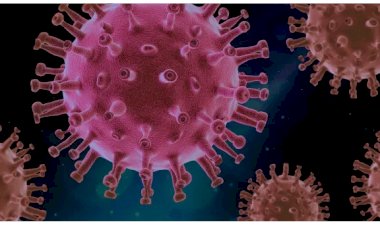 Право зло није у вирусу