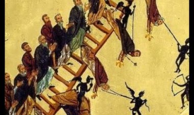 Зоран Ђуровић: Евергетинос - Нема митарстава