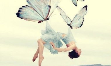 Владета Јеротић : Смисао бола