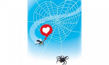 Бирање проблематичних партнера