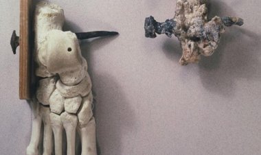 Једина кост која је скелетни  доказ распећа