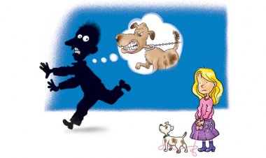 Не пројектуј се