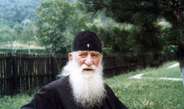 Животни прогрес - питање смисла живота