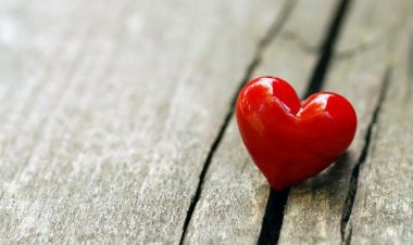 Све почиње од љубави...