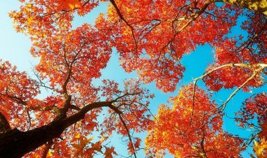 Рај - чежња свих изгнаника