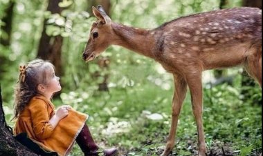 Владика Григорије : Ања