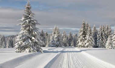 Исидора Секулић : Ода снегу