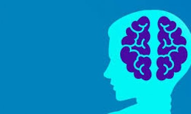 Незнање, заборавност, лењост