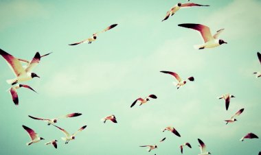 Дивно је и ослобађајуће планирати свој живот са Богом