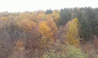 Веома је важно да човек сазна своје реално стање