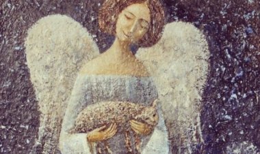 Е, то значи волети