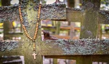 Није срећа та која нас чини захвалним, већ је захвалност та која нас чини срећним