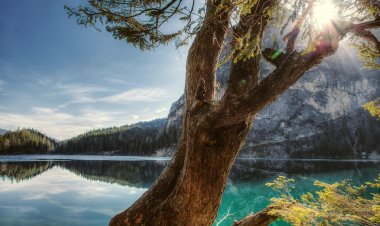 Веровати у добро