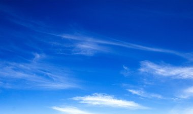 Именица од седам слова - слобода