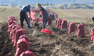 ДА ЛИ ЈЕ ХРАНА СКУПА ИЛИ ЈЕ ПРОБЛЕМ У НАМА?
