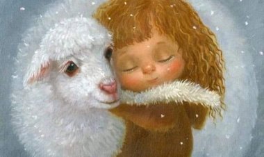 Сви желе да имају мир, али не знају како да га стекну