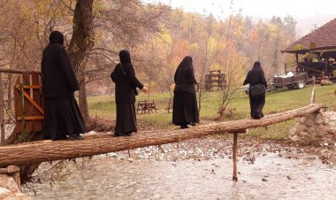 Приче из Пчиње - Багрем и поток