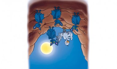 Поводљивост