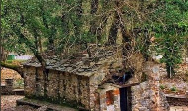 Човечанство не живи разборито