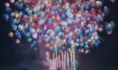 Коме од експерата се данас може веровати?