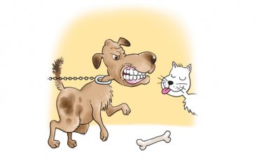 Провоцирање