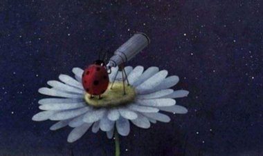 Цео живот се трудимо да  будемо срећни, али често срећу тражимо на погрешном месту