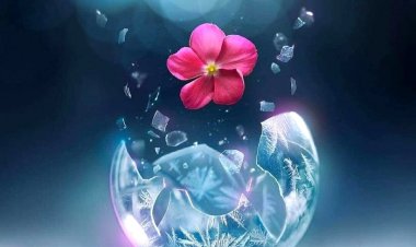 Важно је бити присутан у животу