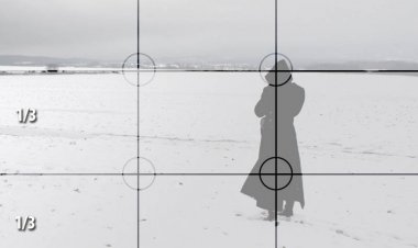 Неупитно правило