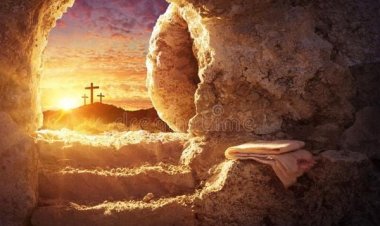 Где је срећа?