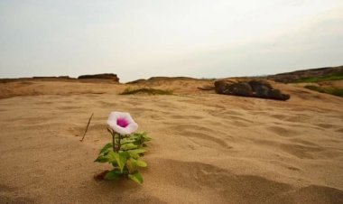 За све постоји решење