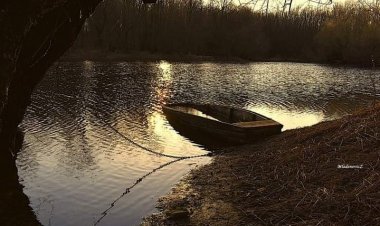 Родитељи и смрт