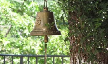 „Не звечи, него лечи…“ – Свети Николај Жички