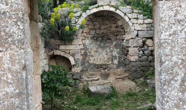 Приче из Пчиње, поглавље 3, прича -  Купус