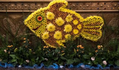 Одговорити на смрт животом