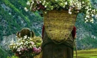 Права љубав је неправедна