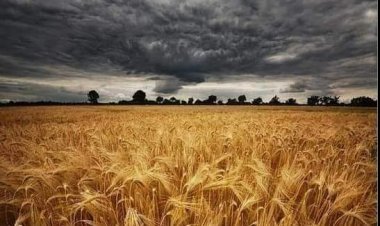 Николај Берђајев: О искушењима и патњама у свом животу