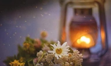 Протојереј др Милош Весин - Срџба наша насушна