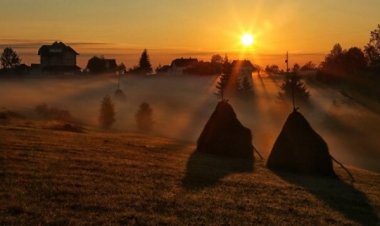 Док је мрака биће и Сванућа…