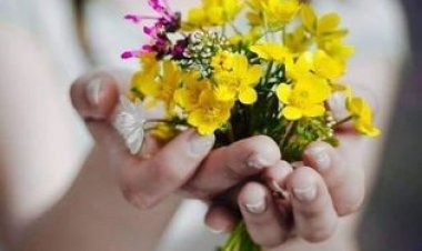 По чему се пост разликује од веганства?