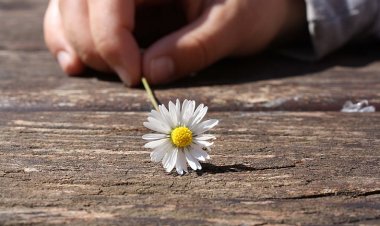 Гладна Душа