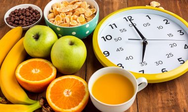 О аутофагији