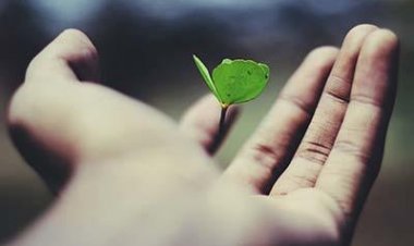 Шта нас чини живима?