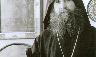 О патњи, болу и труду