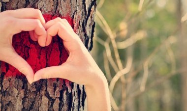 Молитва и родитељска љубав