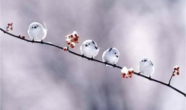 Љубав је дата од Бога