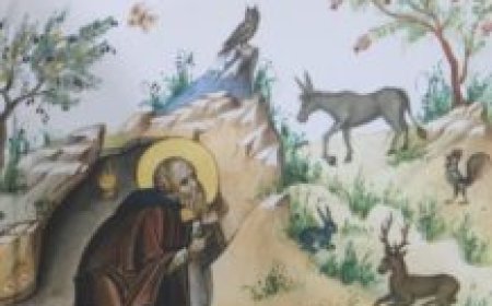 Књига “Капљице љубави Божје – Светитељи и природа” на српском језику у издању Манастира Ћелија пиперска